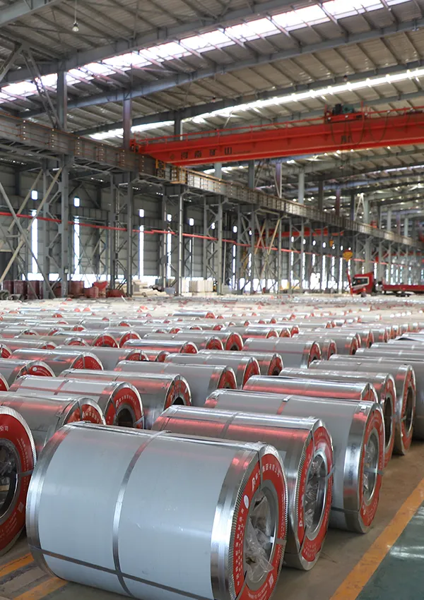 Pre-Painted Steel Sheet and Coil